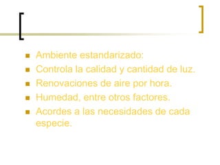  Ambiente estandarizado:
 Controla la calidad y cantidad de luz.
 Renovaciones de aire por hora.
 Humedad, entre otros factores.
 Acordes a las necesidades de cada
especie.
 