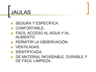JAULAS
 SEGURA Y ESPECÍFICA.
 CONFORTABLE.
 FÁCIL ACCESO AL AGUA Y AL
ALIMENTO.
 PERMITIR LA OBSERVACIÓN.
 VENTILADAS.
 IDENTIFICADA.
 DE MATERIAL INOXIDABLE, DURABLE Y
DE FÁCIL LIMPIEZA.
 