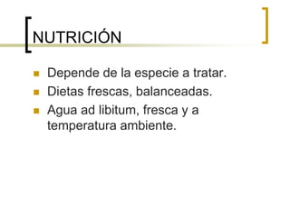 NUTRICIÓN
 Depende de la especie a tratar.
 Dietas frescas, balanceadas.
 Agua ad libitum, fresca y a
temperatura ambiente.
 