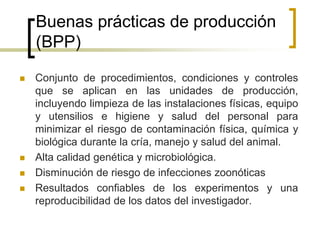 Buenas prácticas de producción
(BPP)
 Conjunto de procedimientos, condiciones y controles
que se aplican en las unidades de producción,
incluyendo limpieza de las instalaciones físicas, equipo
y utensilios e higiene y salud del personal para
minimizar el riesgo de contaminación física, química y
biológica durante la cría, manejo y salud del animal.
 Alta calidad genética y microbiológica.
 Disminución de riesgo de infecciones zoonóticas
 Resultados confiables de los experimentos y una
reproducibilidad de los datos del investigador.
 