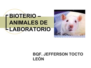 BIOTERIO –
ANIMALES DE
LABORATORIO
BQF. JEFFERSON TOCTO
LEÓN
 