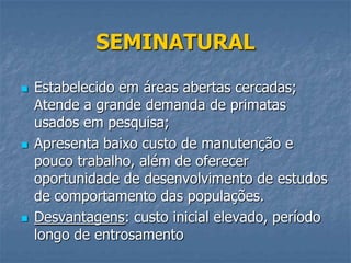 SEMINATURAL






Estabelecido em áreas abertas cercadas;
Atende a grande demanda de primatas
usados em pesquisa;
Apresenta baixo custo de manutenção e
pouco trabalho, além de oferecer
oportunidade de desenvolvimento de estudos
de comportamento das populações.
Desvantagens: custo inicial elevado, período
longo de entrosamento

 
