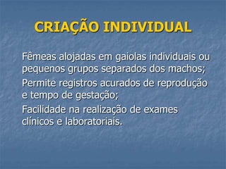 CRIAÇÃO INDIVIDUAL
Fêmeas alojadas em gaiolas individuais ou
pequenos grupos separados dos machos;
Permite registros acurados de reprodução
e tempo de gestação;
Facilidade na realização de exames
clínicos e laboratoriais.

 