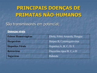 PRINCIPAIS DOENÇAS DE
PRIMATAS NÃO-HUMANOS
São transmissores em potencial;
Doenças virais

Febres Hemorrágicas

Ebola, Febre Amarela, Dengue

Herpevírus

Herpes B, Cytomegalovirus

Hepatites Virais

Hepatites A, B, C, D, E

Retrovírus

Oncovírus tipos B, C, e D

Togavírus

Rubéola

 