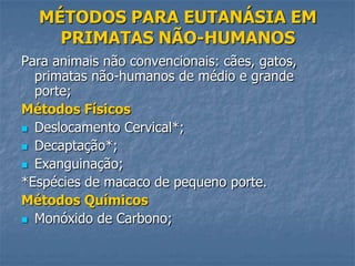 MÉTODOS PARA EUTANÁSIA EM
PRIMATAS NÃO-HUMANOS
Para animais não convencionais: cães, gatos,
primatas não-humanos de médio e grande
porte;
Métodos Físicos
 Deslocamento Cervical*;
 Decaptação*;
 Exanguinação;
*Espécies de macaco de pequeno porte.
Métodos Químicos
 Monóxido de Carbono;

 