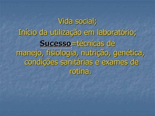 Vida social;
Início da utilização em laboratório;
Sucesso=técnicas de
manejo, fisiologia, nutrição, genética,
condições sanitárias e exames de
rotina.

 