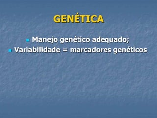 GENÉTICA
Manejo genético adequado;
Variabilidade = marcadores genéticos




 