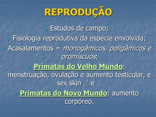 REPRODUÇÃO
Estudos de campo;
 Fisiologia reprodutiva da espécie envolvida;
 Acasalamentos = monogâmicos, poligâmicos e
promíscuos;
 Primatas do Velho Mundo:
menstruação, ovulação e aumento testicular, e
sex skin ♂ e ♀
 Primatas do Novo Mundo: aumento
corpóreo.


 