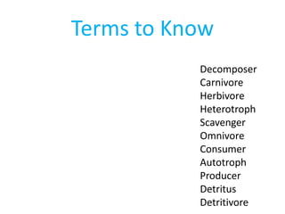 Terms to Know
           Decomposer
           Carnivore
           Herbivore
           Heterotroph
           Scavenger
           Omnivore
           Consumer
           Autotroph
           Producer
           Detritus
           Detritivore
 
