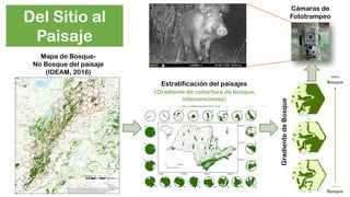 BioTerra: Nuevo sistema de monitoreo de la biodiversidad en desarrollo por el Programa Riqueza Natural de USAID