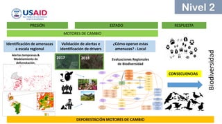 BioTerra: Nuevo sistema de monitoreo de la biodiversidad en desarrollo por el Programa Riqueza Natural de USAID