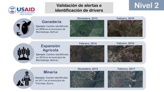 BioTerra: Nuevo sistema de monitoreo de la biodiversidad en desarrollo por el Programa Riqueza Natural de USAID