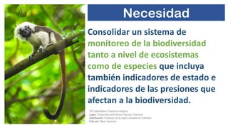 BioTerra: Nuevo sistema de monitoreo de la biodiversidad en desarrollo por el Programa Riqueza Natural de USAID