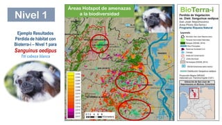 BioTerra: Nuevo sistema de monitoreo de la biodiversidad en desarrollo por el Programa Riqueza Natural de USAID