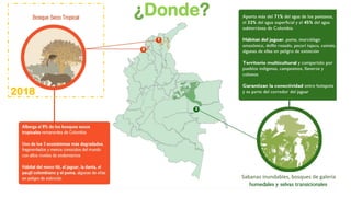 BioTerra: Nuevo sistema de monitoreo de la biodiversidad en desarrollo por el Programa Riqueza Natural de USAID