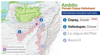 BioTerra: Nuevo sistema de monitoreo de la biodiversidad en desarrollo por el Programa Riqueza Natural de USAID