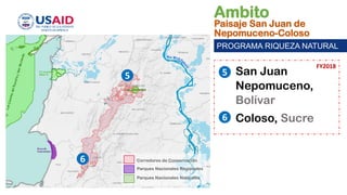 BioTerra: Nuevo sistema de monitoreo de la biodiversidad en desarrollo por el Programa Riqueza Natural de USAID