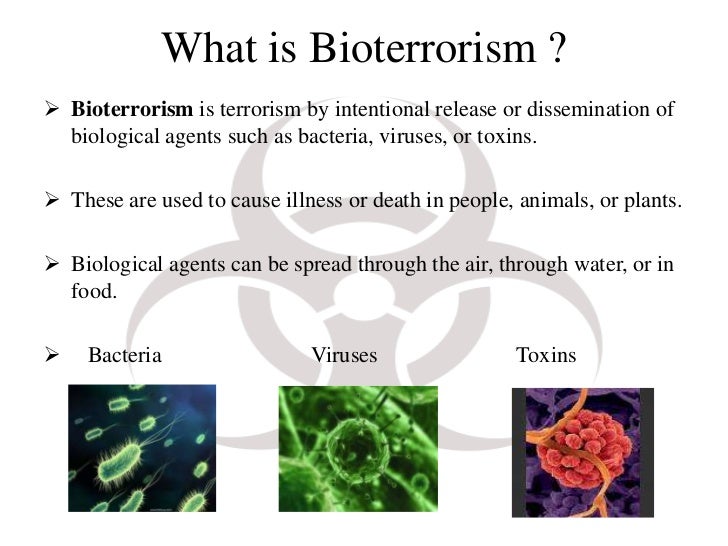 Help me with a terrorism powerpoint presentation single spaced online 6 hours