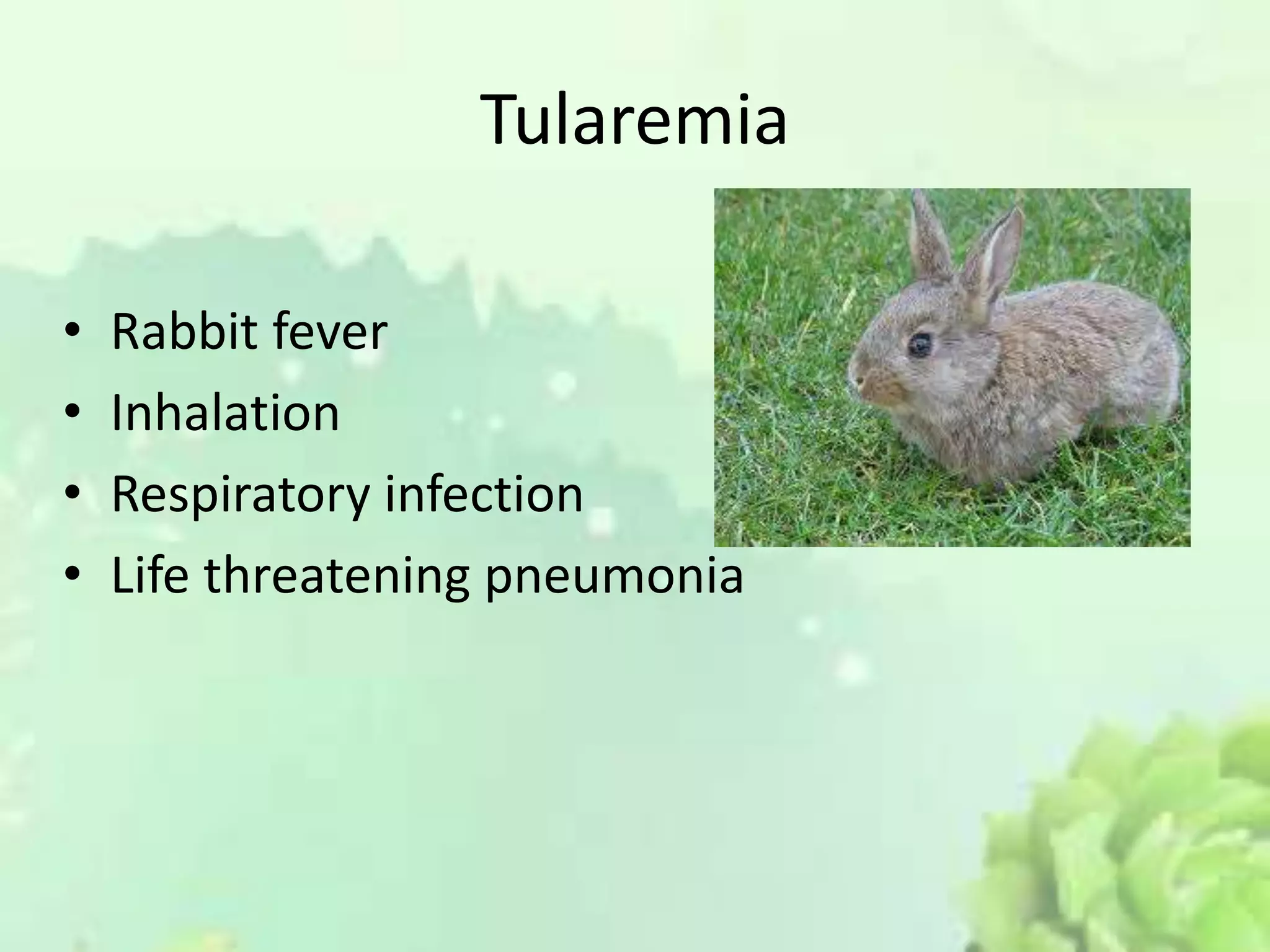 Tularemia
• Rabbit fever
• Inhalation
• Respiratory infection
• Life threatening pneumonia
 