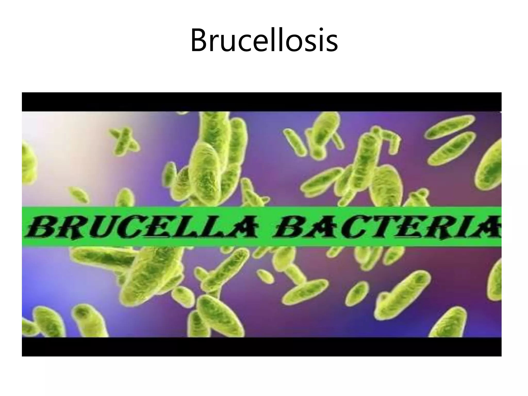 Brucellosis
 