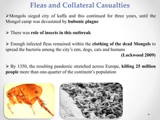 Fleas and Collateral Casualties
Mongols sieged city of kaffa and this continued for three years, until the
Mongol camp was devastated by bubonic plague
 There was role of insects in this outbreak
 Enough infected fleas remained within the clothing of the dead Mongols to
spread the bacteria among the city’s rats, dogs, cats and humans
(Lockwood 2009)
 By 1350, the resulting pandemic stretched across Europe, killing 25 million
people more than one-quarter of the continent’s population
 