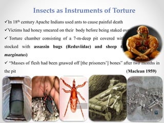 Insects as Instruments of Torture
In 18th century Apache Indians used ants to cause painful death
Victims had honey smeared on their body before being staked over anthills
 Torture chamber consisting of a 7-m-deep pit covered with an iron grill and
stocked with assassin bugs (Reduviidae) and sheep ticks (Dermacentor
marginatus)
 “Masses of flesh had been gnawed off [the prisoners’] bones” after two months in
the pit (Maclean 1959)
 