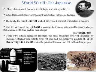 World War II: The Japanese
 Shiro ishii – trained Doctor, microbiologist and military officer
 When Russian infiltrators were caught with vials of pathogenic bacteria
 The newly designated Unit 731 studied the greatest potential of insects as a weapons
 Unit 731 developed the Uji bomb a ceramic shell casing with a small explosive charge
that released its 10-liter payload over a target
(Barenblatt 2004)
 Fleas were initially reared on prisoners, but mass production involved thousands of
incubators stocked with rodents. Unit 731 soon had the capacity to produce 45 kg of
fleas every 3 to 4 months, with the potential for more than 500 million fleas per year
 