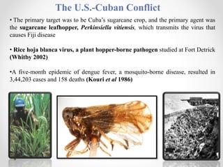 The U.S.-Cuban Conflict
• The primary target was to be Cuba’s sugarcane crop, and the primary agent was
the sugarcane leafhopper, Perkinsiella vitiensis, which transmits the virus that
causes Fiji disease
• Rice hoja blanca virus, a plant hopper-borne pathogen studied at Fort Detrick
(Whitby 2002)
•A five-month epidemic of dengue fever, a mosquito-borne disease, resulted in
3,44,203 cases and 158 deaths (Kouri et al 1986)
 