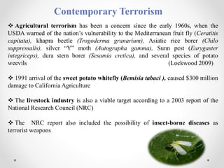 Contemporary Terrorism
 Agricultural terrorism has been a concern since the early 1960s, when the
USDA warned of the nation’s vulnerability to the Mediterranean fruit fly (Ceratitis
capitata), khapra beetle (Trogoderma granarium), Asiatic rice borer (Chilo
suppressalis), silver “Y” moth (Autographa gamma), Sunn pest (Eurygaster
integriceps), dura stem borer (Sesamia cretica), and several species of potato
weevils (Lockwood 2009)
 1991 arrival of the sweet potato whitefly (Bemisia tabaci ), caused $300 million
damage to California Agriculture
 The livestock industry is also a viable target according to a 2003 report of the
National Research Council (NRC)
 The NRC report also included the possibility of insect-borne diseases as
terrorist weapons
 