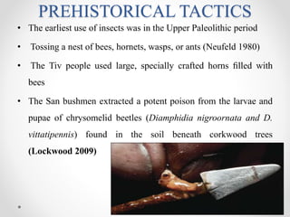 PREHISTORICAL TACTICS
• The earliest use of insects was in the Upper Paleolithic period
• Tossing a nest of bees, hornets, wasps, or ants (Neufeld 1980)
• The Tiv people used large, specially crafted horns ﬁlled with
bees
• The San bushmen extracted a potent poison from the larvae and
pupae of chrysomelid beetles (Diamphidia nigroornata and D.
vittatipennis) found in the soil beneath corkwood trees
(Lockwood 2009)
 