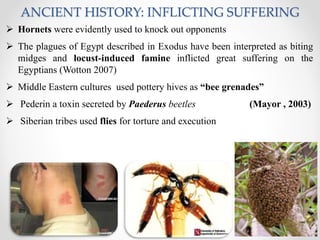 ANCIENT HISTORY: INFLICTING SUFFERING
 Hornets were evidently used to knock out opponents
 The plagues of Egypt described in Exodus have been interpreted as biting
midges and locust-induced famine inflicted great suffering on the
Egyptians (Wotton 2007)
 Middle Eastern cultures used pottery hives as “bee grenades”
 Pederin a toxin secreted by Paederus beetles (Mayor , 2003)
 Siberian tribes used flies for torture and execution
 