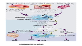 Biocrimmy Examples Bioterrorism : Biological agent :Biocrime | PPTX