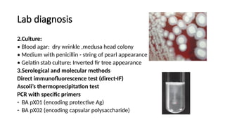 Biocrimmy Examples Bioterrorism : Biological agent :Biocrime | PPTX