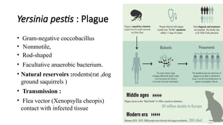 Biocrimmy Examples Bioterrorism : Biological agent :Biocrime | PPTX
