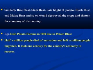  Similarly Rice blast, Stem Rust, Late blight of potato, Black Rust
and Maize Rust and so on would destroy all the crops and shatter
the economy of the country.
 Eg:-Irish Potato Famine in 1940 due to Potato Blast
 Half a million people died of starvation and half a million people
migrated. It took one century for the country’s economy to
recover.
 