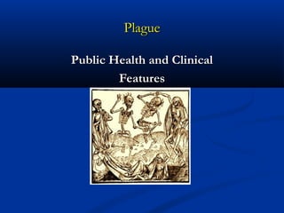 PlaguePlague
Public Health and ClinicalPublic Health and Clinical
FeaturesFeatures
 