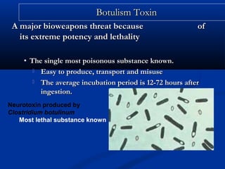 Botulism ToxinBotulism Toxin
A major bioweapons threat because ofA major bioweapons threat because of
its extreme potency and lethalityits extreme potency and lethality
• The single most poisonous substance known.The single most poisonous substance known.
 Easy to produce, transport and misuseEasy to produce, transport and misuse
 The average incubation period is 12-72 hours afterThe average incubation period is 12-72 hours after
ingestion.ingestion.
Neurotoxin produced by
Clostridium botulinum
Most lethal substance known
 