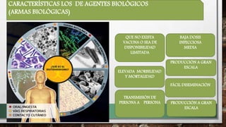 PRODUCCIÓN A GRAN
ESCALA
ELEVADA MORBILIDAD
Y MORTALIDAD
QUE NO EXISTA
VACUNA O SEA DE
DISPONIBILIDAD
LIMITADA
TRANSMISIÒN DE
PERSONA A PERSONA
BAJA DOSIS
INFECCIOSA
MEDIA
FÁCIL DISEMINACIÓN
PRODUCCIÓN A GRAN
ESCALA
CARACTERÍSTICAS LOS DE AGENTES BIOLÓGICOS
(ARMAS BIOLÓGICAS)
 