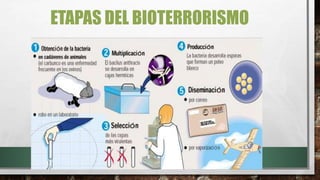 ETAPAS DEL BIOTERRORISMO
 