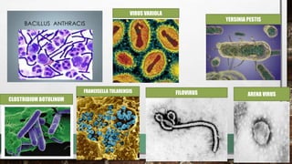 FRANCISELLA TULARENSIS FILOVIRUS ARENA VIRUS
VIRUS VARIOLA
YERSINIA PESTIS
CLOSTRIDIUM BOTULINUM
 