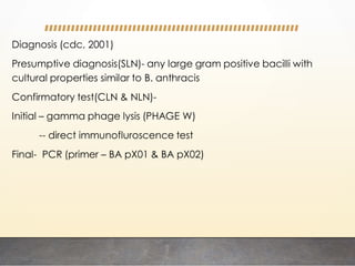 Diagnosis (cdc, 2001)
Presumptive diagnosis(SLN)- any large gram positive bacilli with
cultural properties similar to B. anthracis
Confirmatory test(CLN & NLN)-
Initial – gamma phage lysis (PHAGE W)
-- direct immunofluroscence test
Final- PCR (primer – BA pX01 & BA pX02)
 