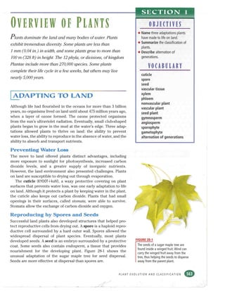 Bio text plant adapt to land pp.563to564