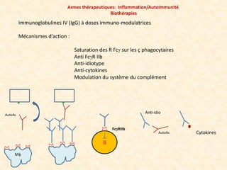 Immunoglobulines IV (IgG) à doses immuno-modulatrices
Mécanismes d’action :
Saturation des R Fcg sur les ç phagocytaires
A...