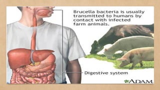Bio_threats_Diseases 2.pdf