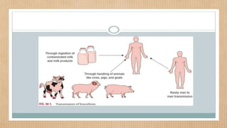 Bio_threats_Diseases 2.pdf