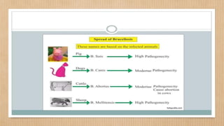 Bio_threats_Diseases 2.pdf
