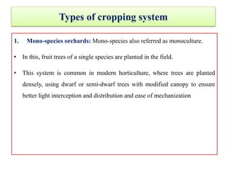 Types of cropping system
1. Mono-species orchards: Mono-species also referred as monoculture.
• In this, fruit trees of a single species are planted in the field.
• This system is common in modern horticulture, where trees are planted
densely, using dwarf or semi-dwarf trees with modified canopy to ensure
better light interception and distribution and ease of mechanization
 
