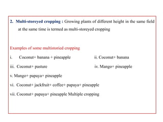 2. Multi-storeyed cropping : Growing plants of different height in the same field
at the same time is termed as multi-storeyed cropping
Examples of some multistoried cropping
i. Coconut+ banana + pineapple ii. Coconut+ banana
iii. Coconut+ pasture iv. Mango+ pineapple
v. Mango+ papaya+ pineapple
vi. Coconut+ jackfruit+ coffee+ papaya+ pineapple
vii. Coconut+ papaya+ pineapple Multiple cropping
 