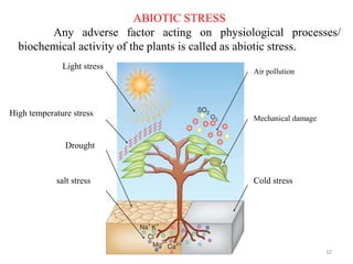 ABIOTIC STRESS
Any adverse factor acting on physiological processes/
biochemical activity of the plants is called as abiotic stress.
Air pollution
Mechanical damage
Cold stress
Light stress
High temperature stress
Drought
salt stress
32
 