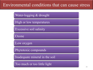 Environmental conditions that can cause stress
Water-logging & drought
High or low temperatures
Excessive soil salinity
Ozone
Low oxygen
Phytotoxic compounds
Inadequate mineral in the soil
Too much or too little light
34
 